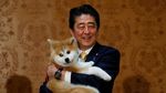 Foto: PM Jepang Bawa Anak Anjing Akita ke Rusia