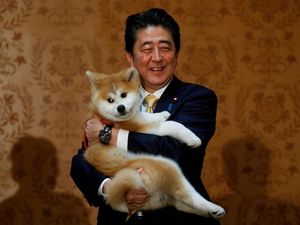 Sosok PM Jepang Shinzo Abe yang 2 Kali Mundur karena Sakit