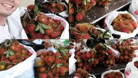 Wah, Arik sedang jadi juragan rambutan nih. Saat panen, 1 pohon rambutan miliknya menghasilkan 10 kantung besar isi rambutan. Mau dong! Foto: Instagram ariksyach