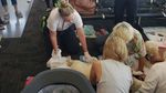 Foto: Saat Anjing Pemandu Melahirkan di Bandara Florida