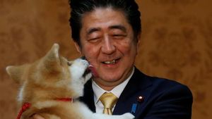 Foto: PM Jepang Bawa Anak Anjing Akita ke Rusia