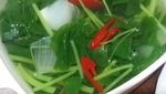 Mau yang Ringan Segar untuk Berbuka? Coba Intip Sayur Bening Pilihan Netizen Ini
