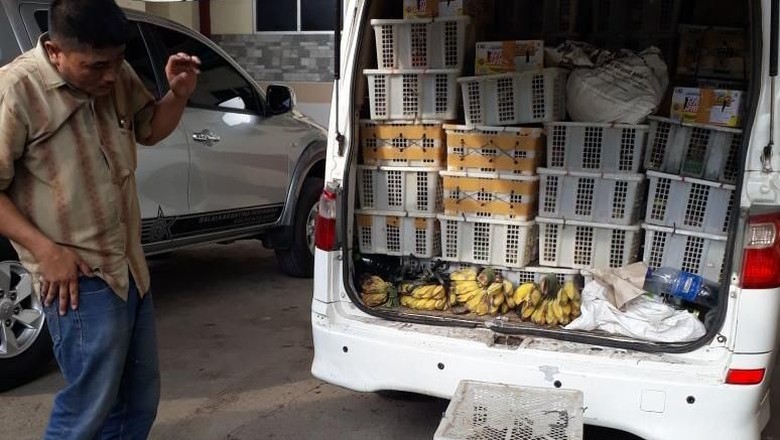 100 Burung Manyar Asal Lampung Disita Petugas Karantina 100 Burung Manyar Asal Lampung Disita Petugas Karantina