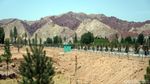 Foto: Gurun Pasir di China yang Terus Direboisasi