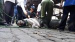 Foto: Sulitnya Proses Evakuasi Buaya 800 Kg di Cilegon