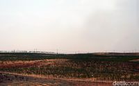  (Wahyu/detikTravel)