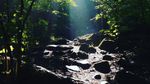 Foto: Batu-batu Misterius yang Berbunyi Seperti Bel