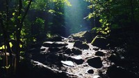 Foto: Pemandangan sekitar Ringing Rocks Park yang masih asri (egg_radio/Instagram)