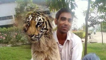 Foto bareng harimau, tapi kok badannya ada yang aneh ya. (Foto: indihumor)