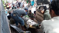 Ya mungkin kita punya tempat yang lebih luas lagi sehingga bisa menangkar dengan lebih layak, ujar Andre.