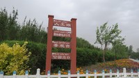 Kota Korla di Xinjiang ada di Gurun Taklamakan. Selama 20 tahun pemda setempat melakukan penghijauan di Gunung Korla dengan menanam red willow (Fitraya/detikcom).
