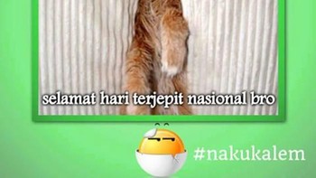 Seperti kejepit sofa ya cing. (Foto: Internet)
