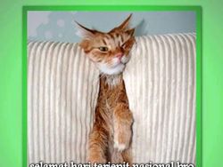 Meme Curhatan Masih Kerja di Hari Kejepit