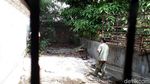 Foto: Sulitnya Proses Evakuasi Buaya 800 Kg di Cilegon