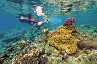 Keindahan laut Kepulauan Fiji (Fiji Tourism)