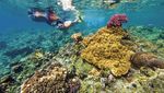 Foto: Cantiknya Fiji yang Dulunya Markas Suku Kanibal