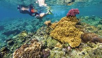 Dulunya, Fiji merupakan negara jajahan Inggris. Mereka dijajah selama 96 tahun dan memperoleh kemerdekaan pada tahun 1970 silam (Fiji Tourism) 