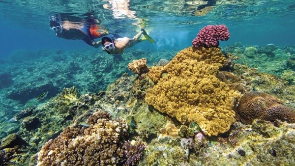 Dulunya, Fiji merupakan negara jajahan Inggris. Mereka dijajah selama 96 tahun dan memperoleh kemerdekaan pada tahun 1970 silam (Fiji Tourism)Â Dulunya, Fiji merupakan negara jajahan Inggris. Mereka dijajah selama 96 tahun dan memperoleh kemerdekaan pada tahun 1970 silam (Fiji Tourism)Â