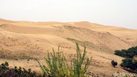 Foto: Usaha Pemerintah China cukup berbuah manis, jumlah pasir yang terbawa angin ke kota-kota besar menurun signifikan. Kualitas udara pun membaik. Gurun pasir yang tersisa malah dimanfaatkan sebagai destinasi wisata. (Wahyu/detikTravel)