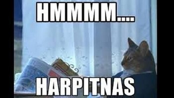 Santai aja kaya si meong. (Foto: Internet)