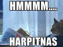 Meme Curhatan Masih Kerja di Hari Kejepit