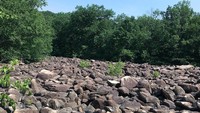 Foto: Sekumpulan batu bersuara unik ditemukan pertama kali di kawasan Ringing Rocks Park Philadelphia tahun 1890, oleh seorang ahli geologi bernama JJ Ott (songbirdmuse/Instagram)