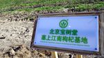 Foto: Buah Ajaib dan Berkhasiat dari China