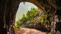 Tiket masuk ke dalam Son Doong adalah sebesar USD 3.000 atau sekitar Rp 35 juta untuk 7 hari 6 malam di dalam gua (Jarryd Salem/CNN)
