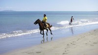Umumnya, yang menjadi daya tarik adalah pasir putih cantik dengan kekayaan laut yang memesona (Fiji Tourism)