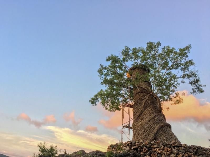 Geoforest Watu Payung Gunungkidul
