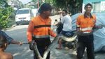 Penampakan Ular 3 Meter yang Muncul di Kali Cipinang Lontar