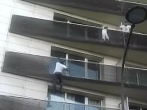 Bak Spiderman, Pria Ini Selamatkan Bocah yang Tergantung