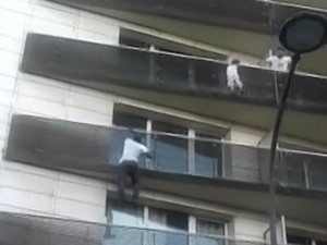Aksi Heroik Pria Spiderman Selamatkan Seorang Anak