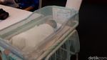 Giring dan Cynthia Dikaruniai Anak Keempat