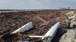 Foto: Sampah Rumput Laut di Dermaga Busselton yang Bau Menyengat