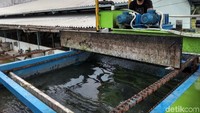 Awalnya tinja yang datang dialirkan ke screen filter untuk menyaring kotoran dari limbah selain tinja. Setelah itu tinja dialirkan ke Sump Pit. (Foto: Yulida/detikcom)