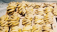 Wah, apa ini pertanda kalau Dua suka makan pisang. Ia pun mengunggah pisang di pasar ke akun Instagramnya. Foto: Instagram @dualipa