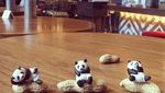 Lucu Banget! Miniatur Panda Ini Berpose dengan Makanan