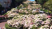 Beragam bunga yang ditanaman di taman.Di saat semuanya mekar, pemandangan cantik ini pun tercipta. (Instagram)
