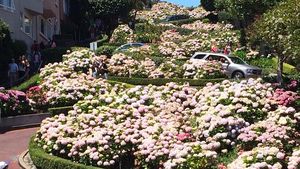 Foto: Jalan Zig Zag Tercantik di Dunia