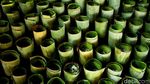 Melihat Lebih Dekat Proses Pembuatan Lemang di Senen Melihat Lebih Dekat Proses Pembuatan Lemang di Senen