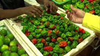 Mudahnya Mengolah Menu Berbuka Khas Maldives 