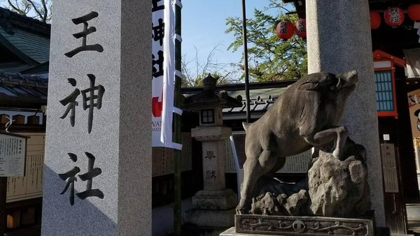 Penjaga kuil berupa sepasang babi hutan dibangun di depan kuil. Patunng ini didirikan juga sebai simbol dari otodoksi negara baru pada tahun 1886 setelah Restorasi Meiji membuat kesetiaan kepada Kaisar (poco3348/Instagram) Penjaga kuil berupa sepasang babi hutan dibangun di depan kuil. Patunng ini didirikan juga sebai simbol dari otodoksi negara baru pada tahun 1886 setelah Restorasi Meiji membuat kesetiaan kepada Kaisar (poco3348/Instagram)