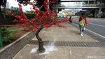Hiasan Pohon Lampu Percantik Jalan Thamrin