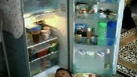 Kalau kurang dingin tiduran aja langsung di depan kulkas. (Foto: Internet) 