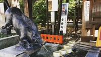 Kemudian dibangunlah Kuil Goo yang didedikasikan untuk menghormati babi hutan. Masyarakat sekitar percaya cedera kaki atau sakit yang berada di kaki akan sembuh setelah berkunjung ke kuil ini (teruyo_m/Instagram) 