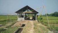 Seorang perempuan tanpa identitas ditemukan tewas di Bulak Sawah Dusun Cepoko, Desa Trirenggo, Kecamatan Bantul, Bantul, pagi tadi. Korban berjaket merah itu ditemukan tewas penuh luka di bagian wajah. (Foto: Usman Hadi/detikcom)