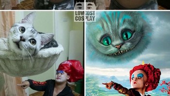 Gemas sama kucingnya. (Foto: Facebook/Lowcostcosplay)