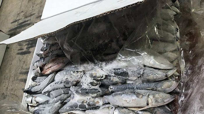 Penyelundup Kokain 60 Kg Ditemukan Tewas di Sydney