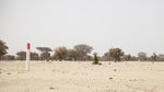 Kemarau Panjang, Hewan Ternak di Mauritania Terancam Kekeringan